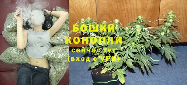 СК Горняк