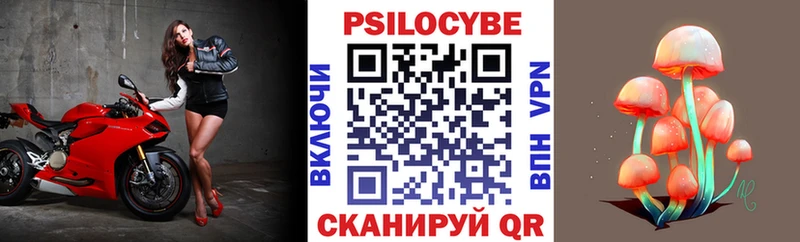 Купить закладки Бавлы Галлюциногенные грибы прущие грибы